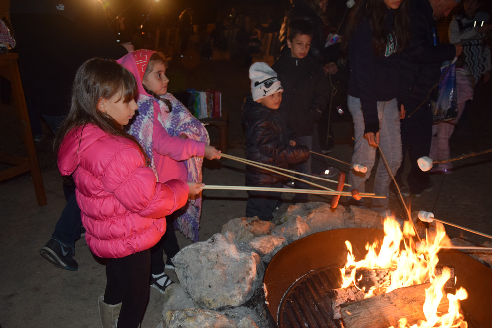 Chip 'N Dale's Campfire Sing-A-Long: o acampamento com Tico e Teco