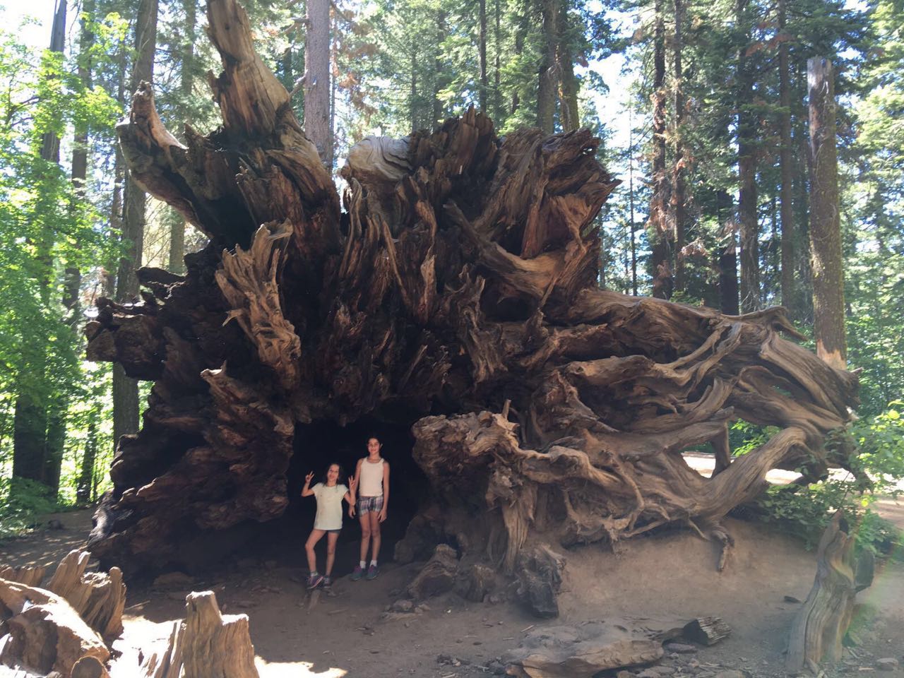 Parque Nacional de Yosemite