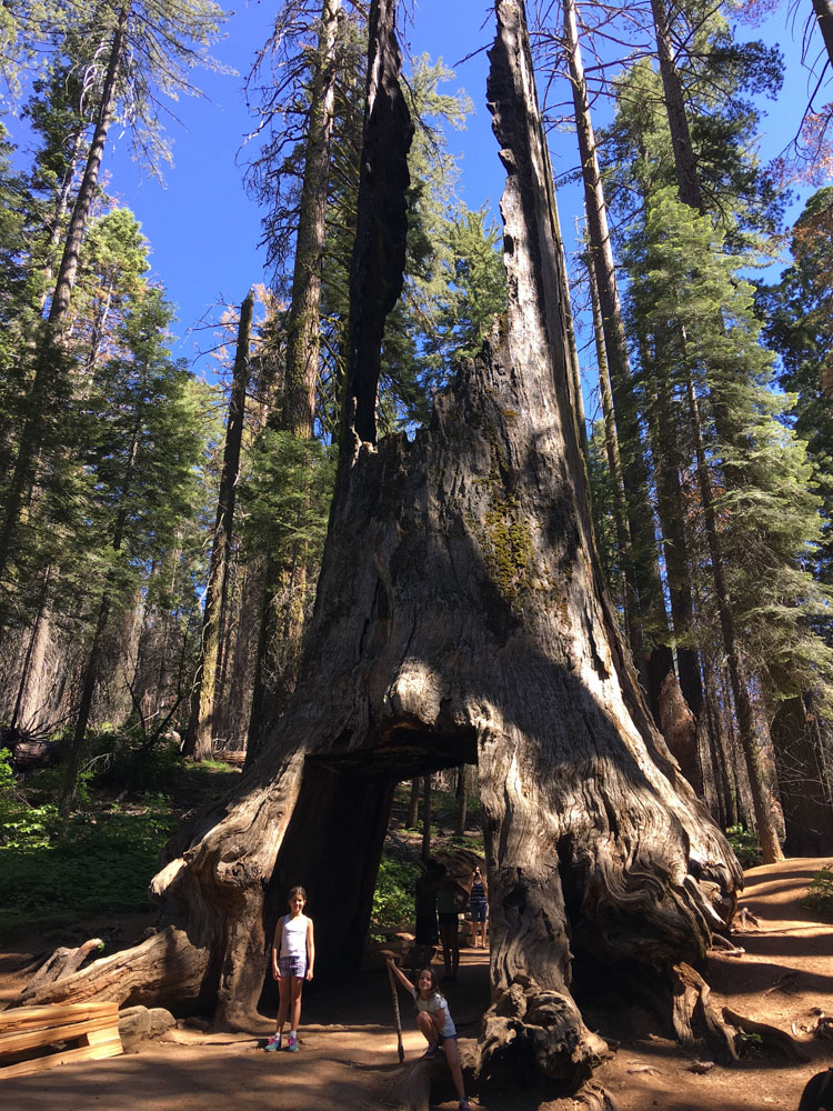 Parque Nacional de Yosemite