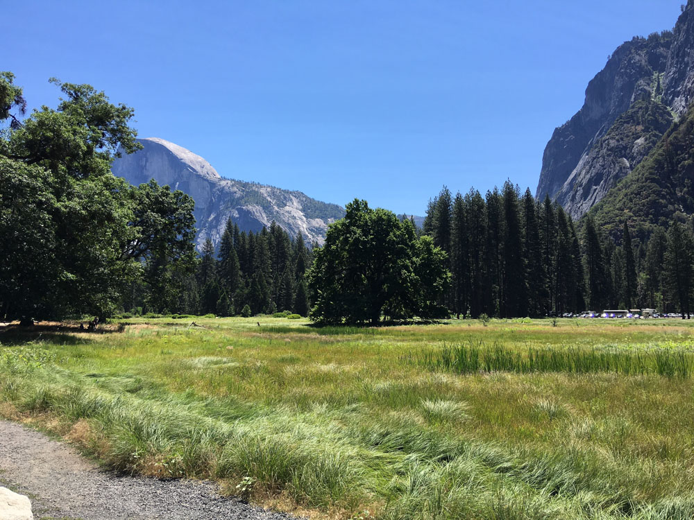 Parque Nacional de Yosemite