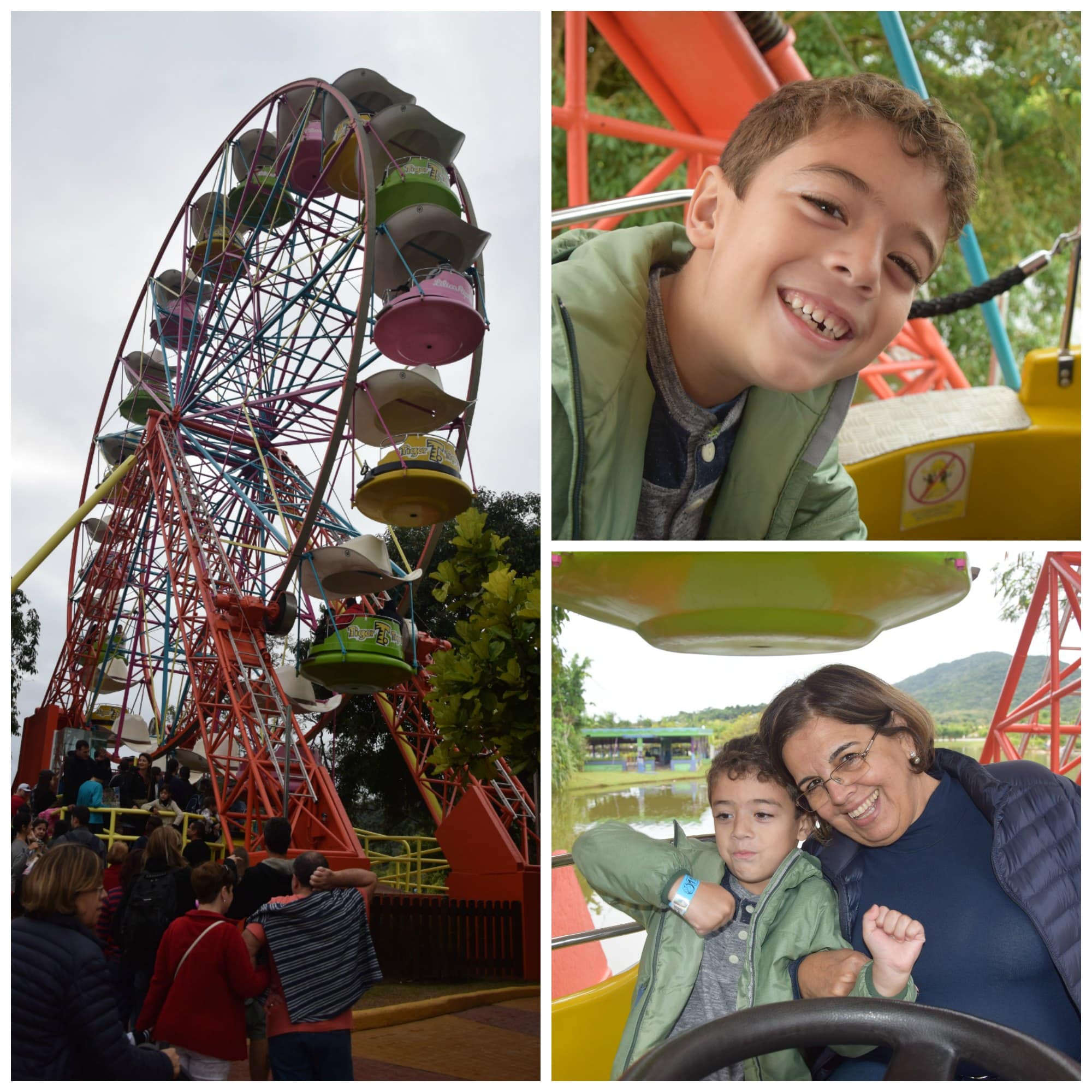 A Roda Gigante faz sucesso com as crianças no Beto Carrero! Veja o que mais tem para fazer no parque nesse post!