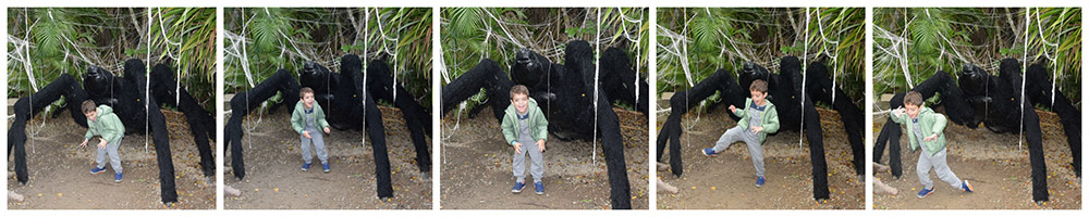 Veja alguns dos melhores lugares para tirar foto com crianças no Beto Carrero World nesse post!