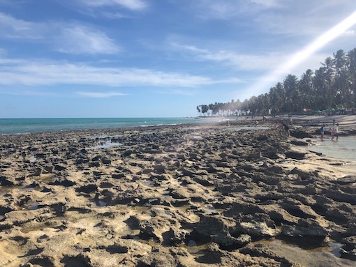 Praia dos carneiros, o que fazer 