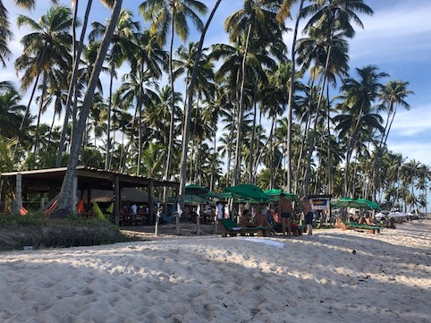 Praia dos carneiros, o que fazer 